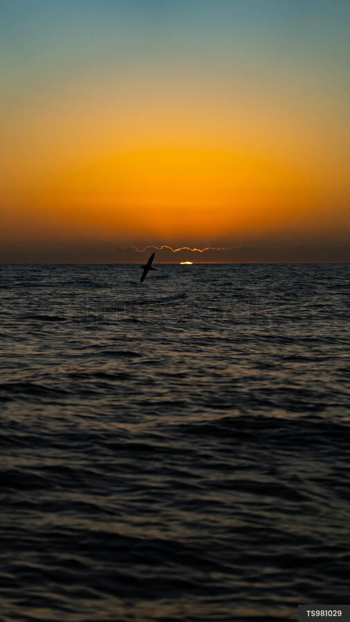 Sunset over sea in Haast