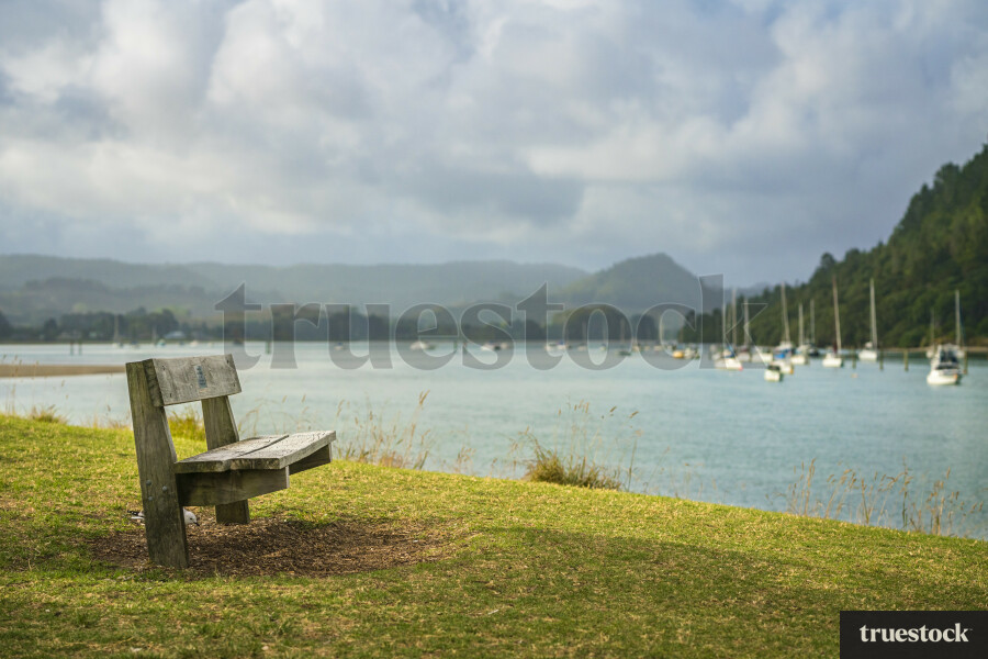 Park Bench in Whangamata