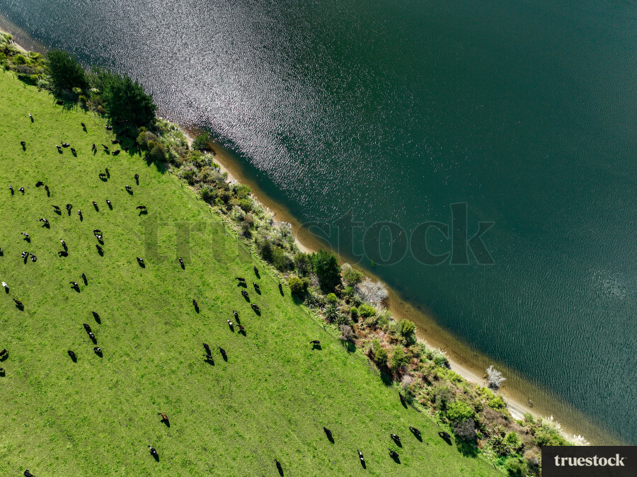 Waikato River Farmland View From Top
