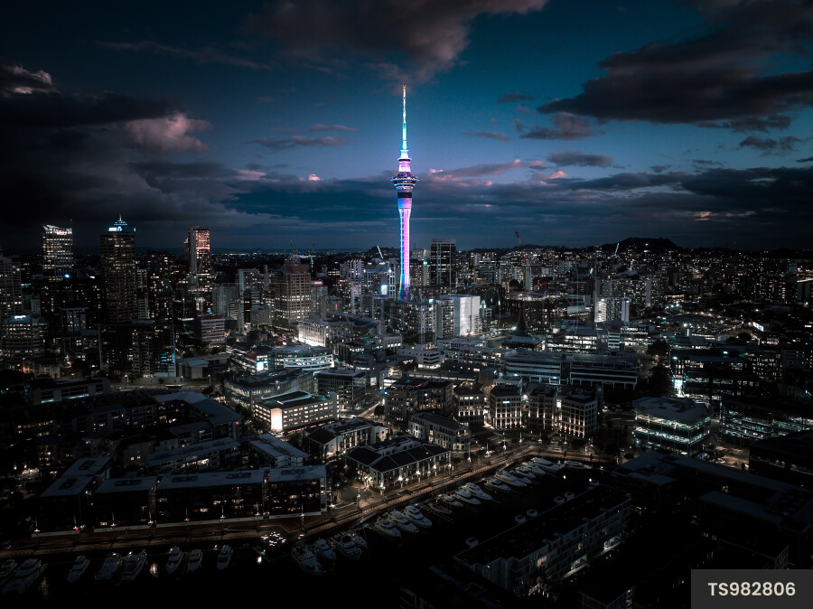 Auckland City Lights