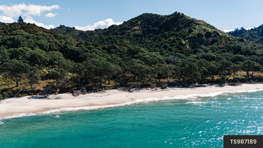 Aerial view of beach at Orokawa Bay