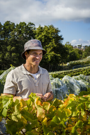 Farmer Standing in the Vineyard