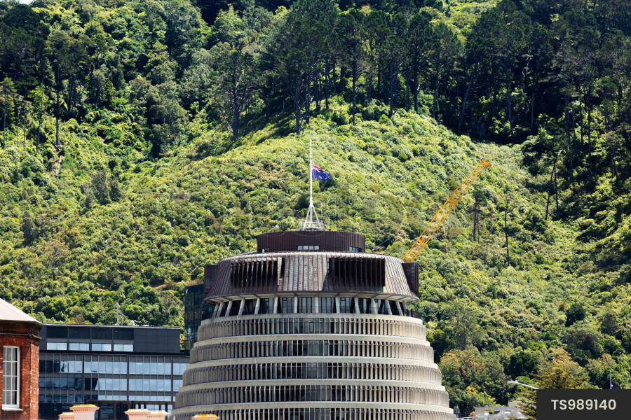 Urban scene with beehive parliament building