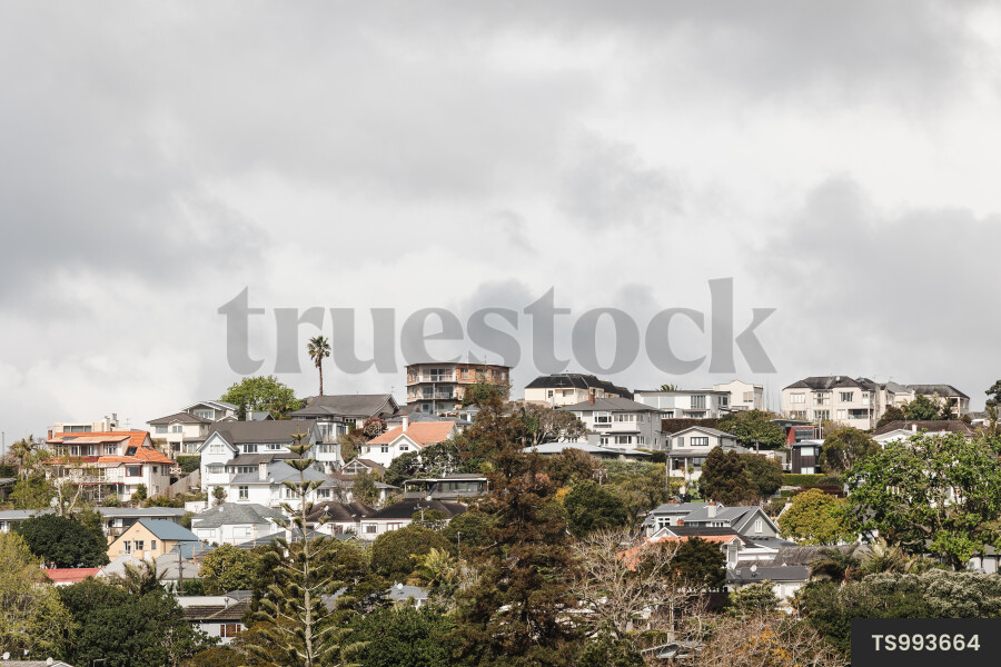 Homes in Remuera