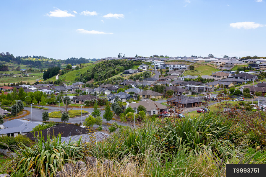 Tauranga Suburban Landscapes
